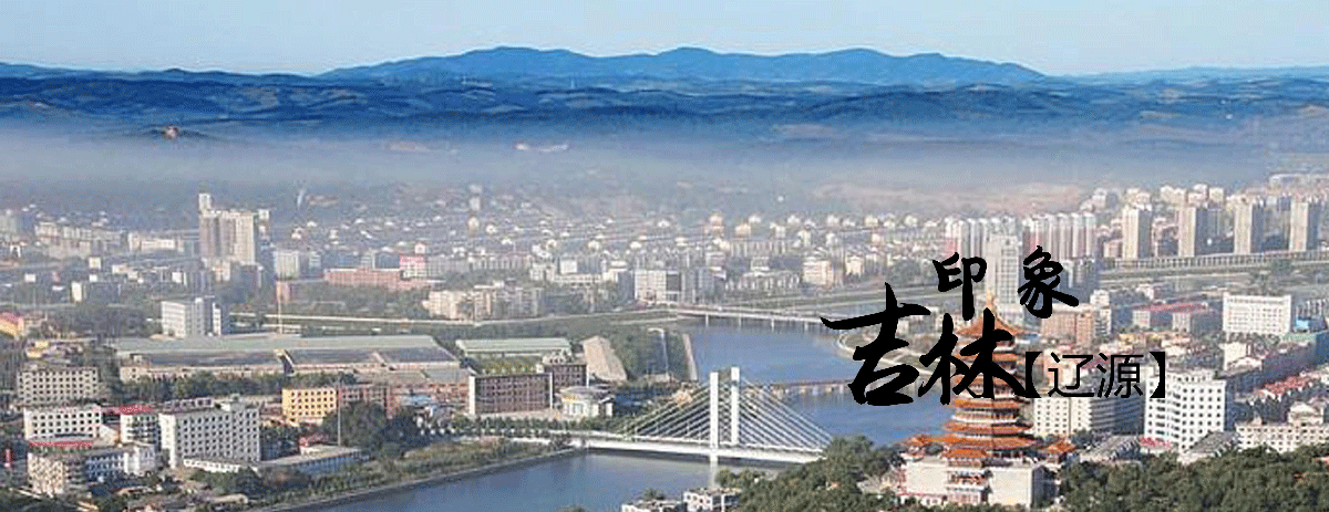 遼源市政務服務網入口