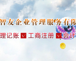 天津市智友企業管理服務有限公司