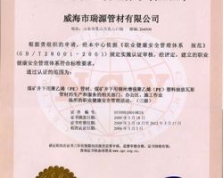 “GB/T28001職業健康安全管理體系認證”/