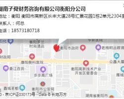 湖南子舜財務咨詢有限公司
