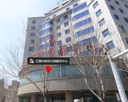 遼源市政務服務和數字化建