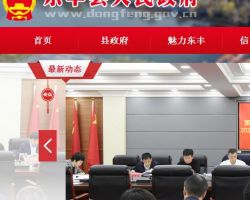 東豐縣政務服務和數字化建