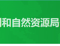 廣州市規劃和自然資源局番