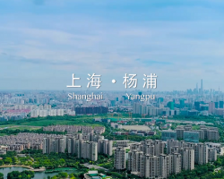 上海市楊浦區人力資源和社