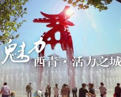 天津市西青區文化和旅游局