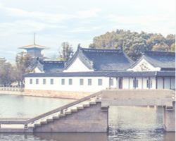 上海市松江區交通委