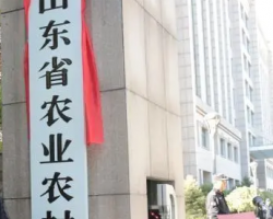 山東省農業農村廳