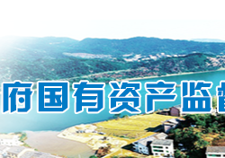 衡陽市人民政府國有資產監