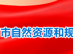 衡陽市自然資源和規劃局