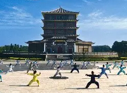 溫縣趙堡鎮人民政府