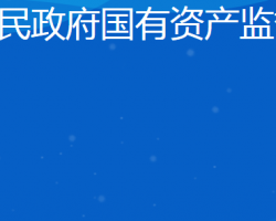 日照市人民政府國(guó)有資產(chǎn)監(jiān)