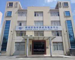廣州市增城區仙村鎮政務服