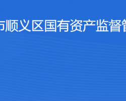 北京市順義區人民政府國有