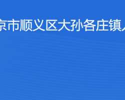 北京市順義區大孫各莊鎮人