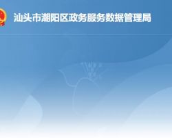 汕頭市潮陽區政務服務數據