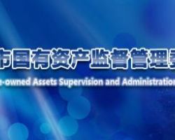 佛山市人民政府國有資產監