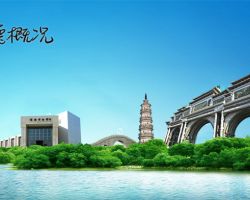 佛山市順德區人民政府